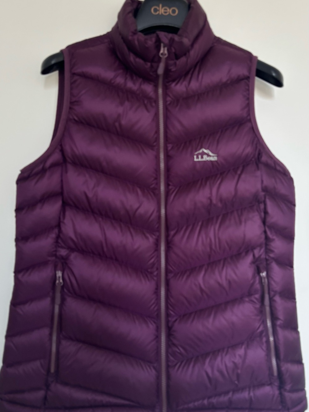 L.L. Bean Women's Quilted Down Vest NWOT (Premium Downtek - Goose Down)